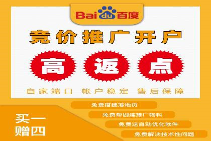 百度推广服务费案例：实现精准营销策略